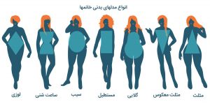 انواع شکل اندام
